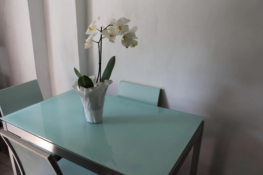 Le Terrazze Del Vaticano Rome Bed & Breakfast